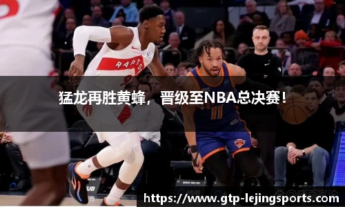 猛龙再胜黄蜂，晋级至NBA总决赛！